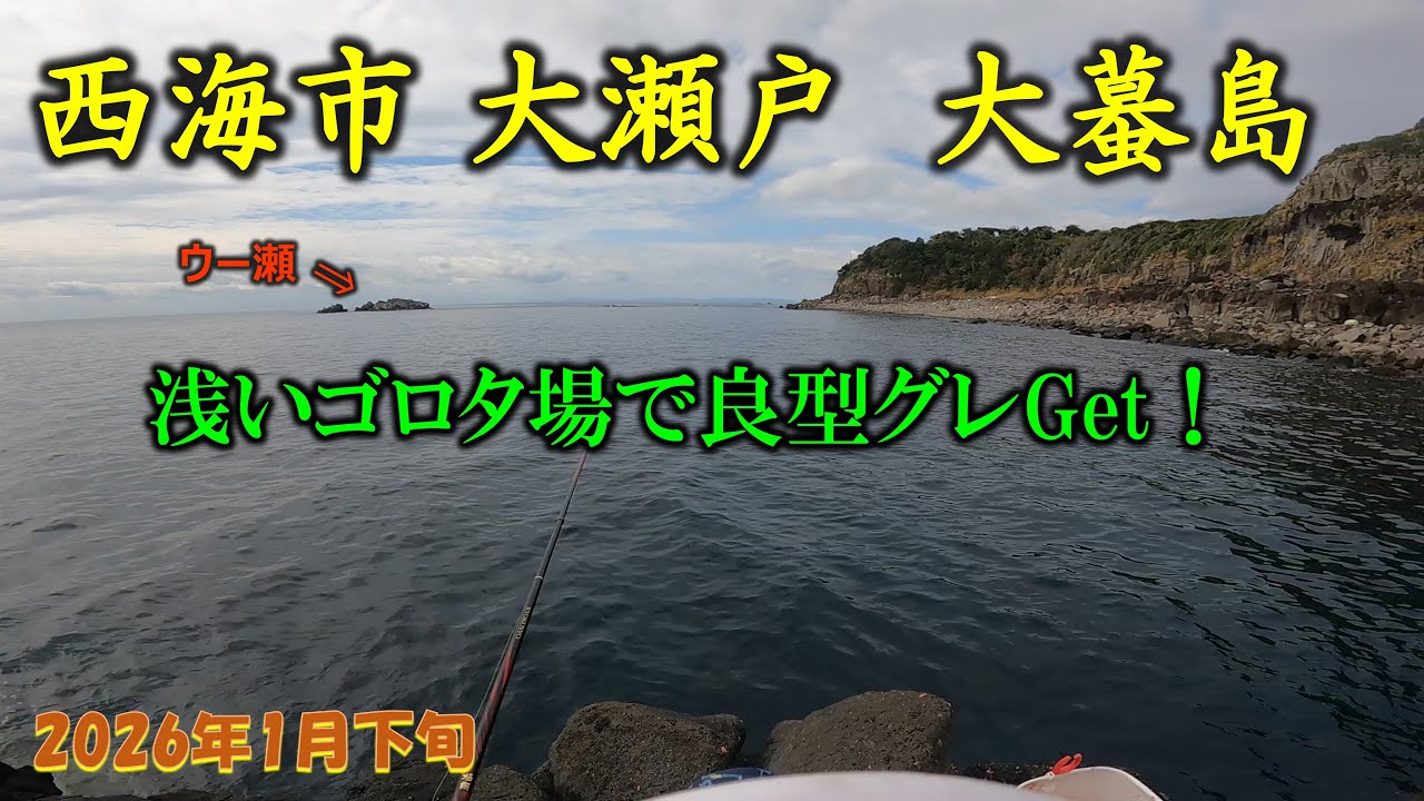 【磯釣り】大瀬戸大蟇島の寒グレ!１ヒロ釣法で良型Get