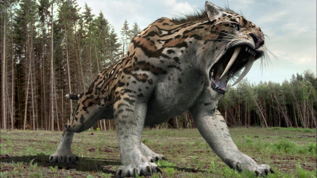 Primeval [2007 - 2011] - Smilodon Screen Time 
