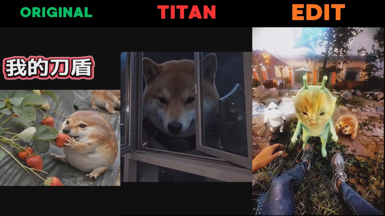 What The Dog Doing MEME All Versions