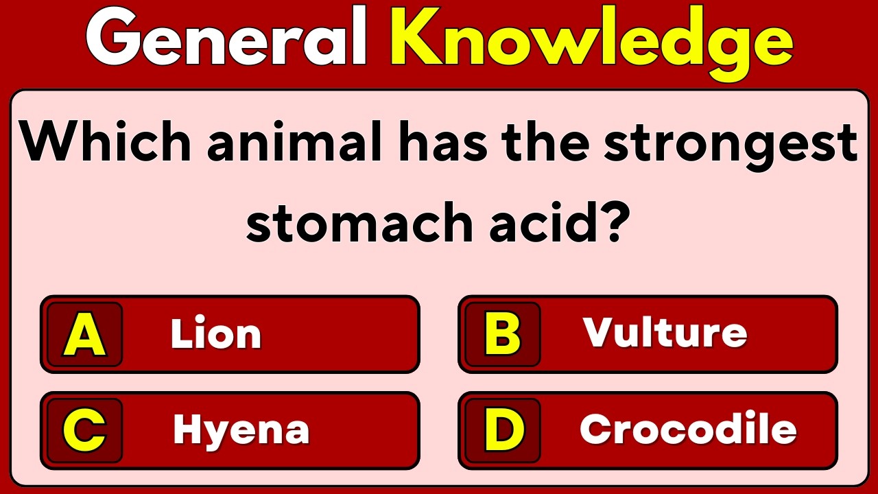 99% Fail This General Knowledge Test! 😲 | GK Trivia Quiz | Mixed Trivia | Quiz | Facts | GK