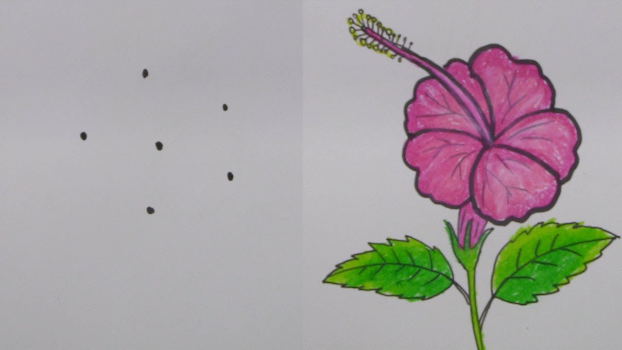 How to Draw Hibiscus Flower  easy