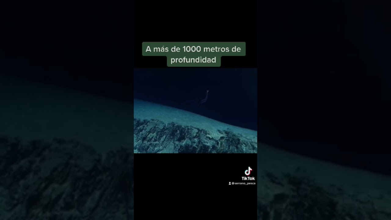 Exploraci&oacute;n SUBMARINA a 1000 metros!!!🦑