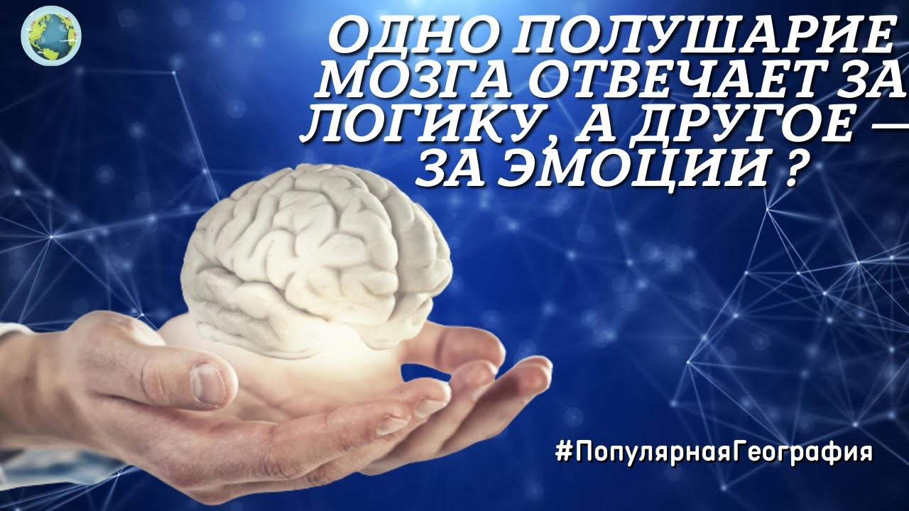 Правда ли, что одно полушарие мозга отвечает за логику, а другое — за эмоции и творчество?