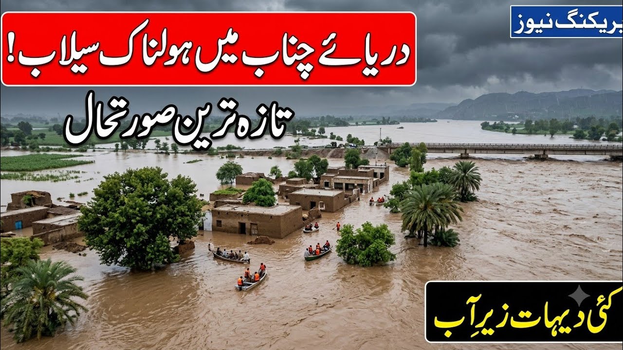 High Flood Alert | Chenab River | Shocking Water Levels | Turab Updates