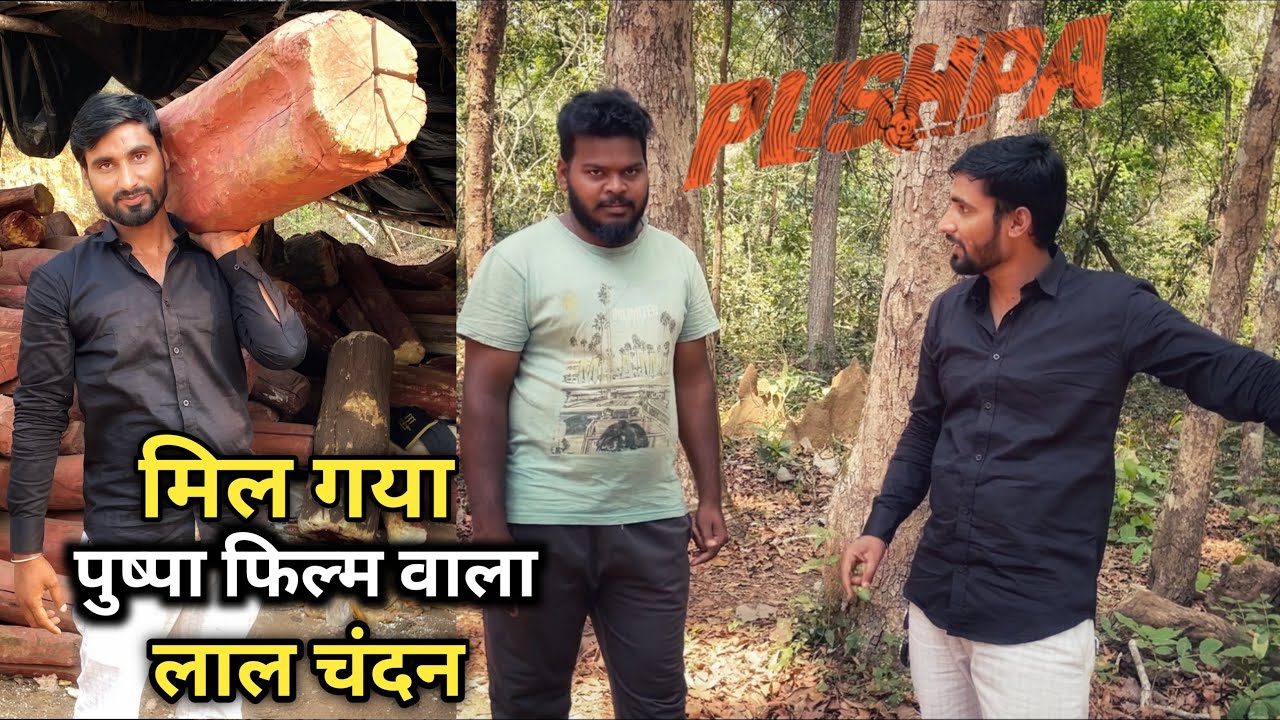 Pushpa Shooting Location in Maredumilli Andhra Pradesh
