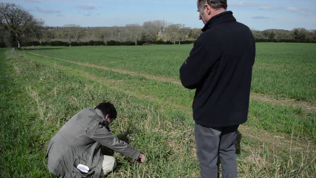 Tech & Bio : faire (re)naître la biodiversité