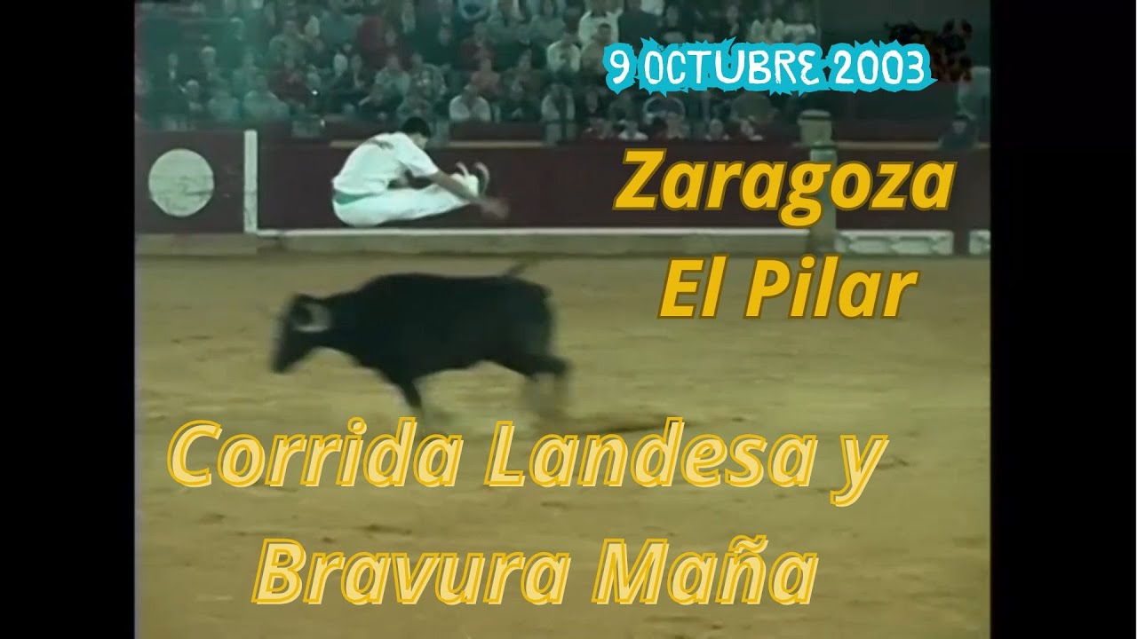 2003 10 09 ZARAGOZA EL PILAR CORRIDA LANDESA BRAVURA MA&Ntilde;A