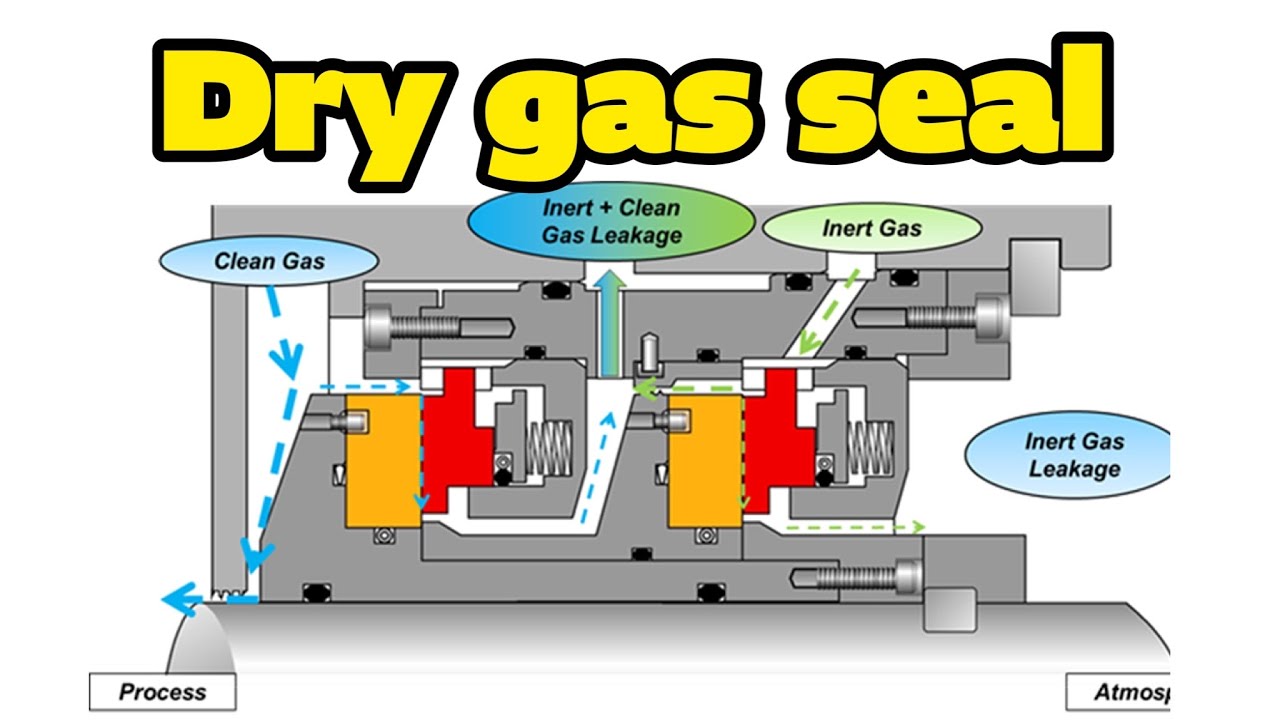 Dry Gas Seal System Centrifugal Compressor
