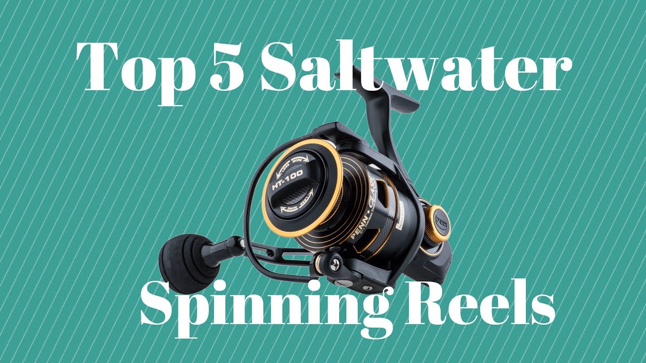 Top 5 Saltwater Spinning Reels