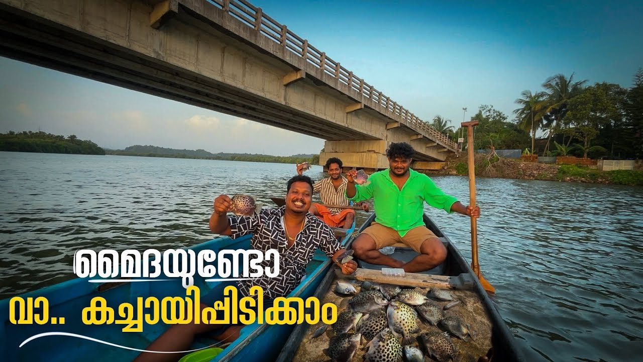 മൈദയുണ്ടോ വാ കച്ചായി പിടിക്കാം||vadakkanvlog||rajeeshvadakkan||malayalamvlogchannel||