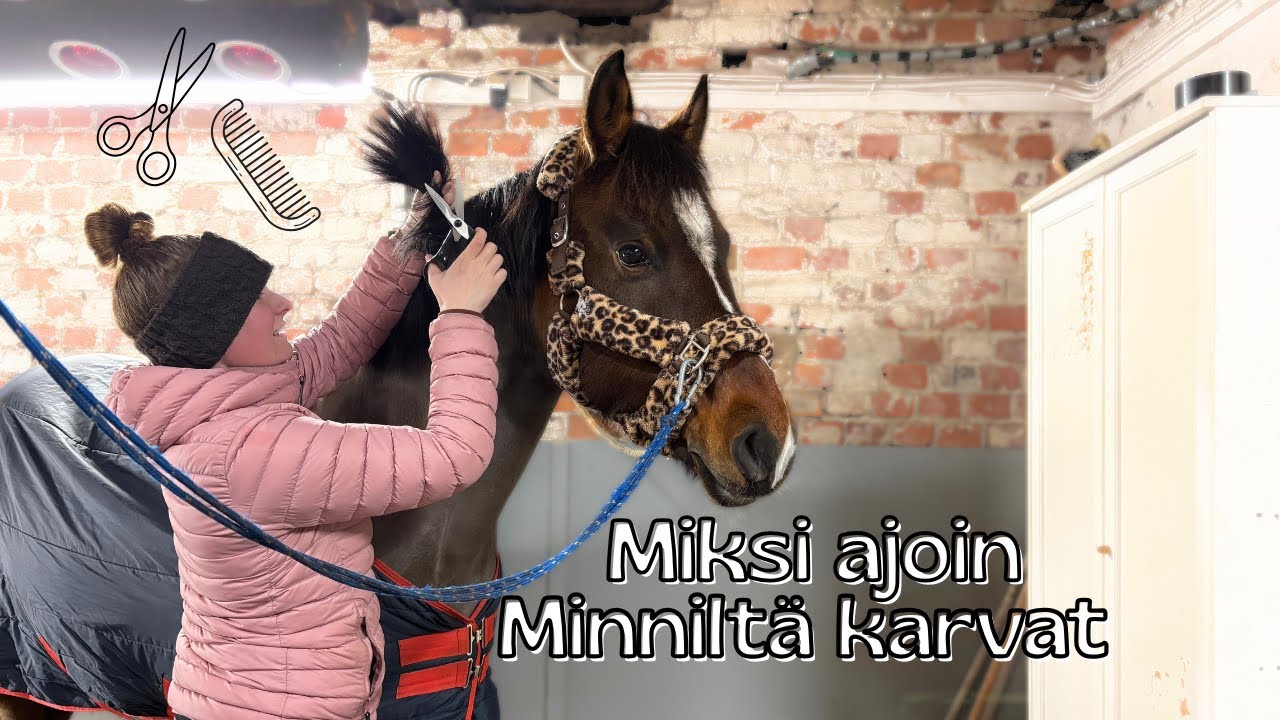 MINNIN SIISTIMINEN ✂️ Leikataan harja