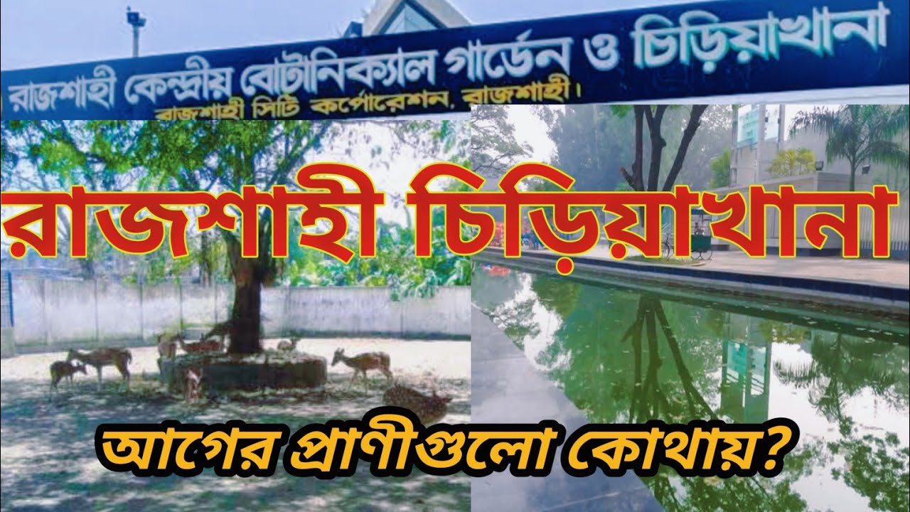 নতুন করে সাজানো রাজশাহী চিড়িয়াখানা – কিন্তু আগের প্রাণীগুলো কোথায়?#vlogvideo #viralvideo #viral 