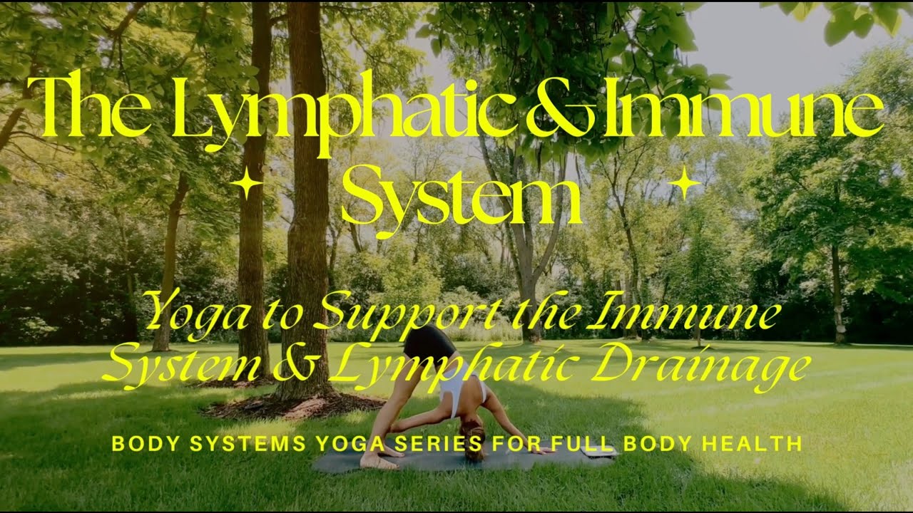 #5 LYMPHATIC & IMMUNE SYSTEM: Yoga to Support the Immune System & Lymphatic Drainage