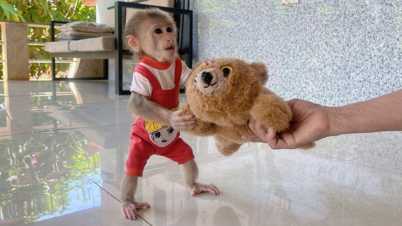 Lulu&rsquo;s Arm Fracture Has Healed &mdash; A Special Gift from Grandma