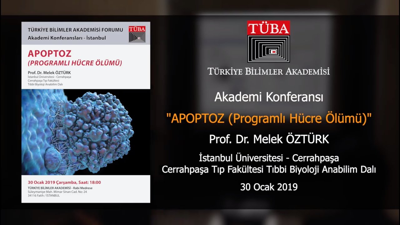 “Apoptoz (Programlı Hücre Ölümü)”