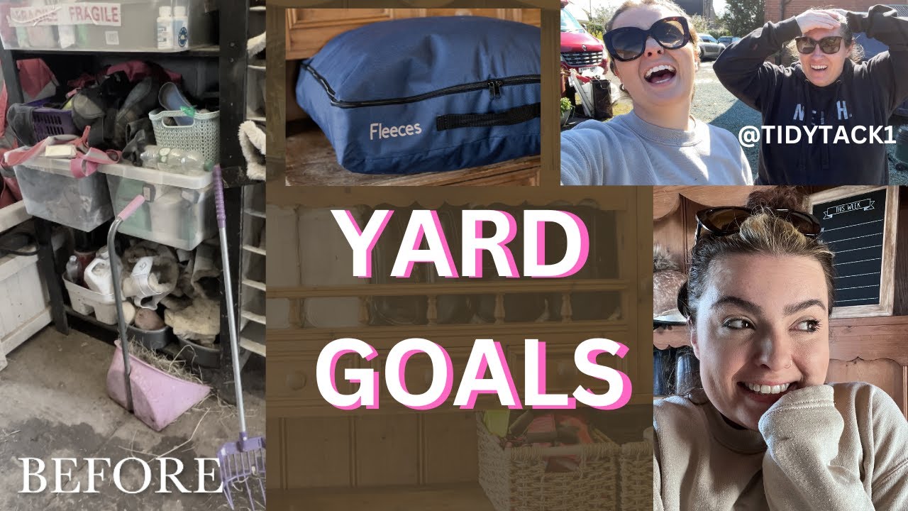 A professional organises my stables!