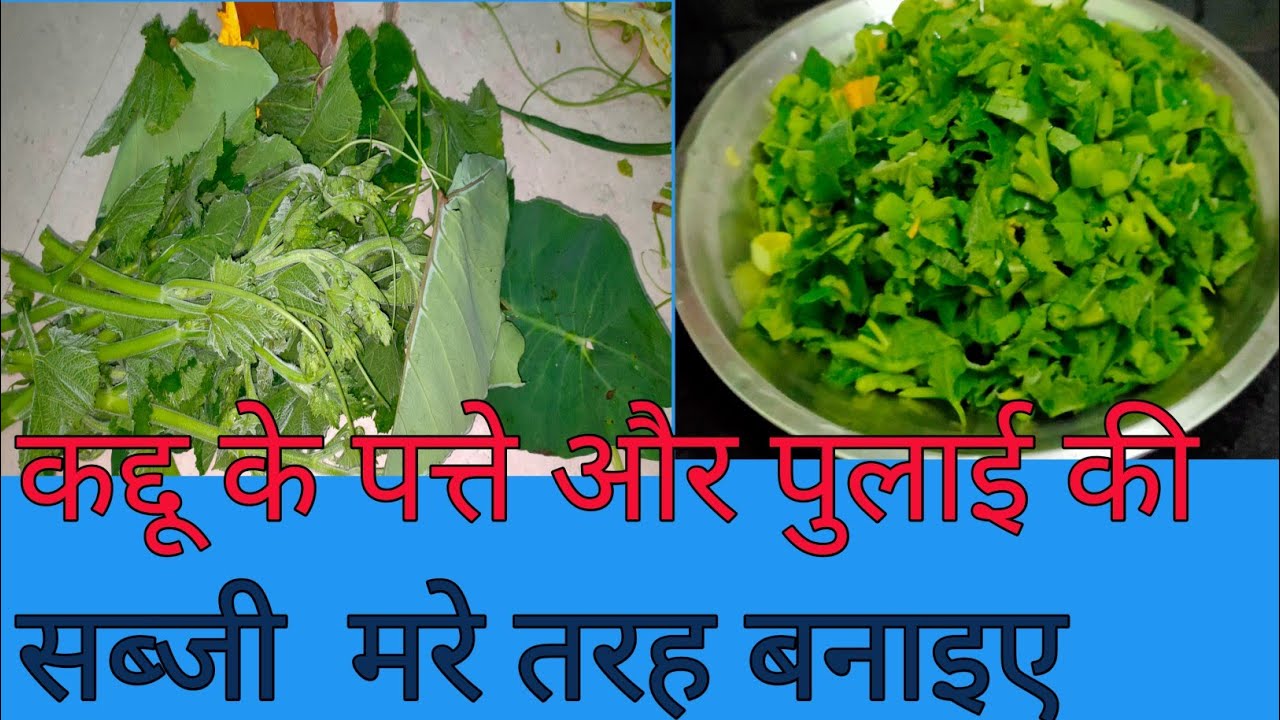 कोहड़ा (कद्दू) और अरबी के पत्ते की मसालेदार सब्जी | गाँव वाला देसी स्वाद