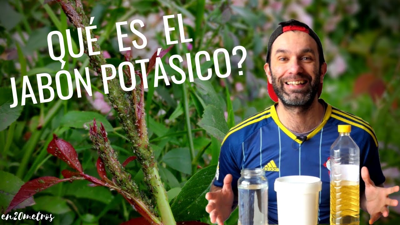 Qué es el JABÓN POTÁSICO? Qué lleva, qué hace y cómo se usa? FUERA DUDAS || en20metros