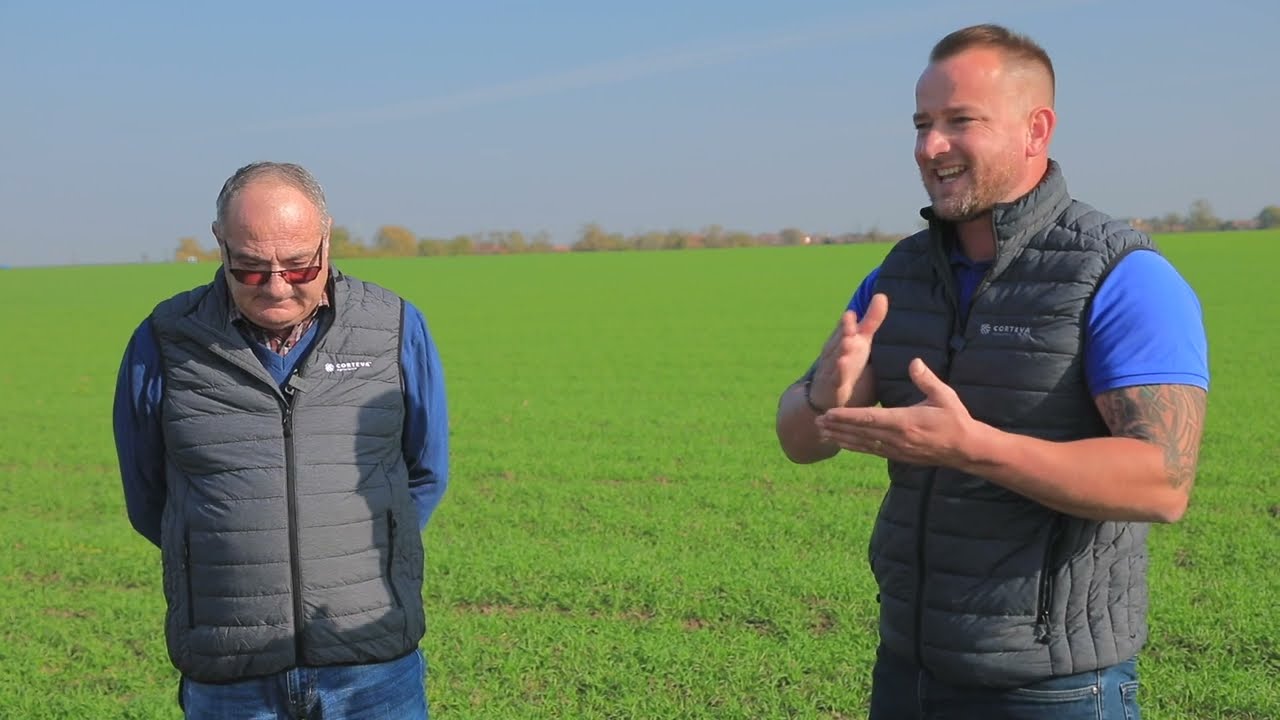 Mihai Budai - Agroind Cauceu BH - despre erbicidul Bizon si fungicidul  Verben in cultura de cereale