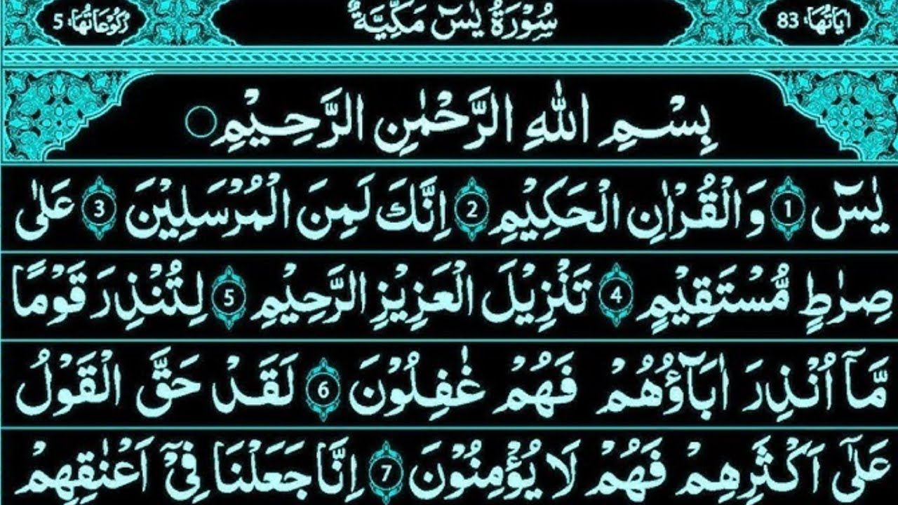 Surah Yaseen Surah Rahman | Viral Quran Recitation | Feel The Power of Allah’s Words 🕋 Ep-00284