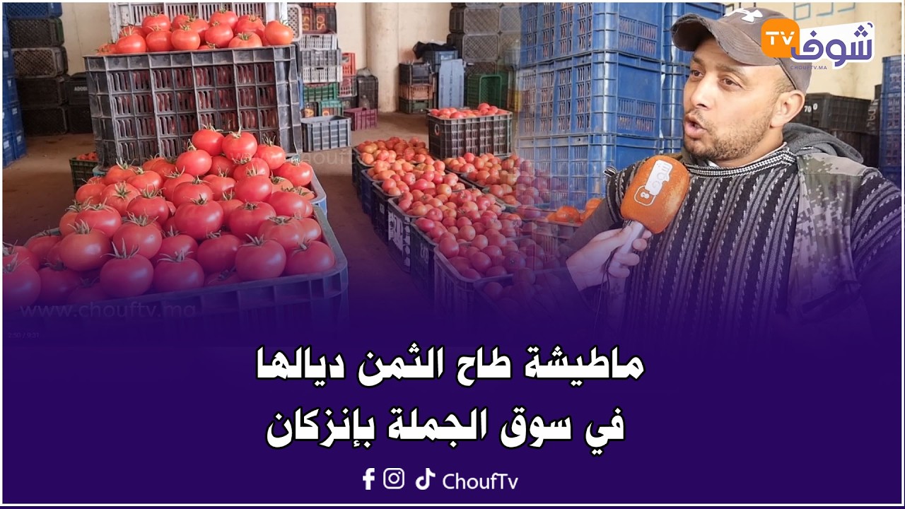 أش خبار السوق..ماطيشة طاح ثمنها في سوق الجملة بإنزكان ودايرا 3 دراهم ونص فـرمضان