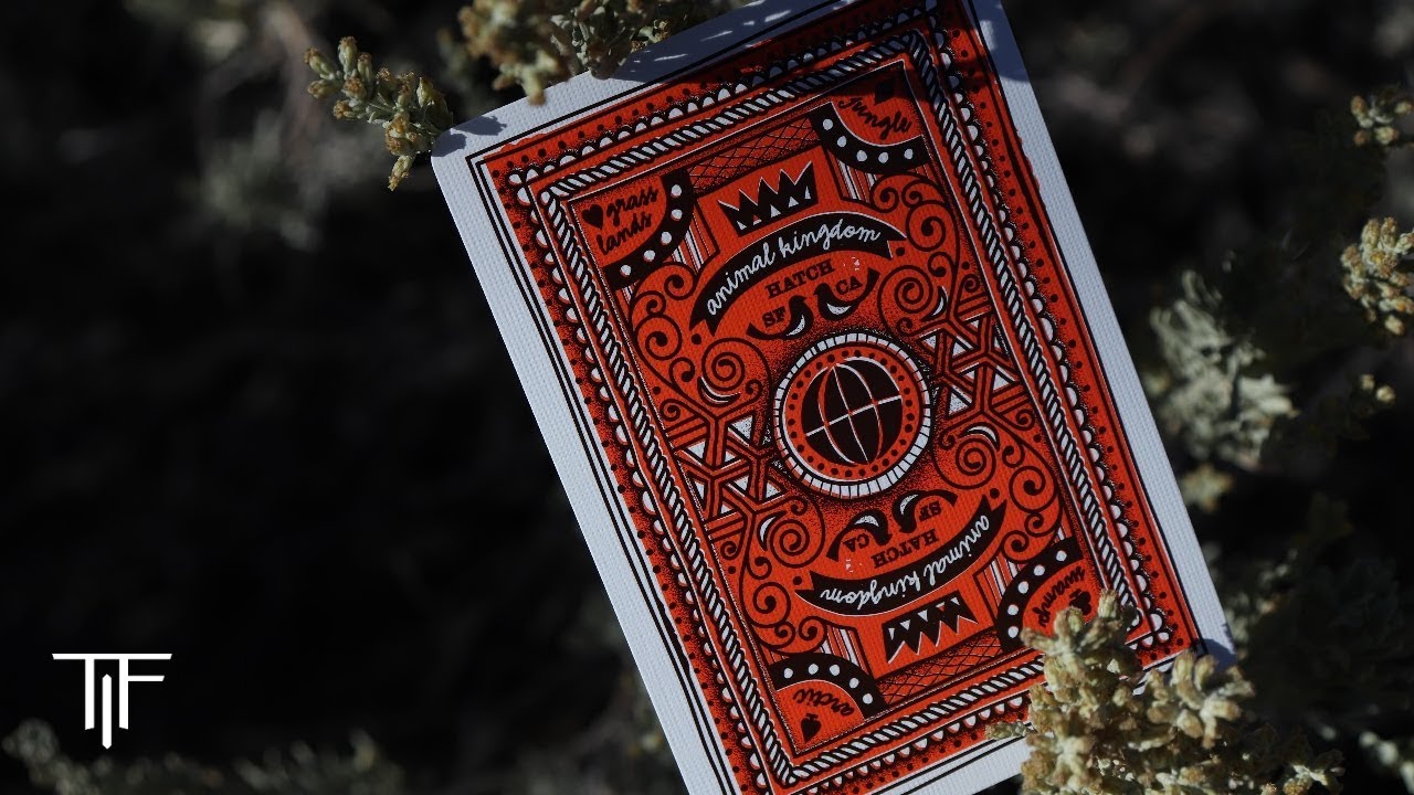 Animal Kingdom Playing Cards - Deck Review