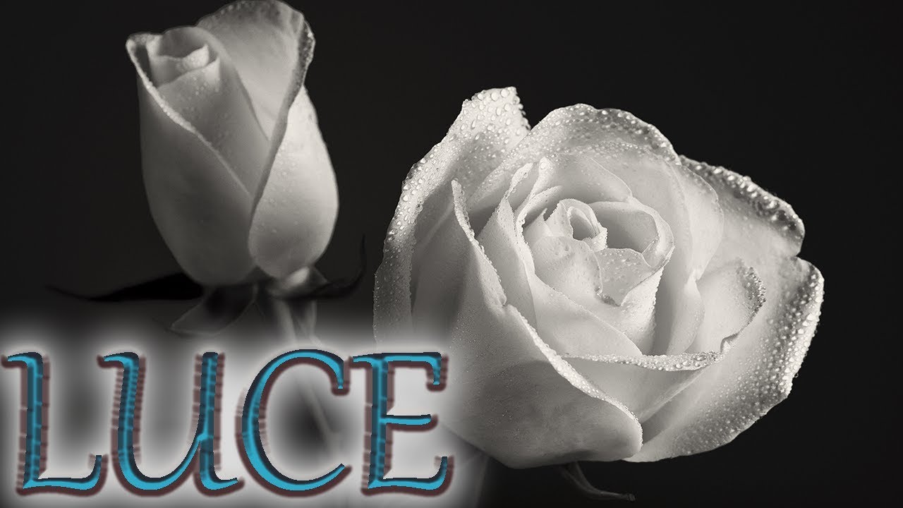 Gigi D'Agostino - Luce - Lyrical Video w/English lyrics - Lento VIolento