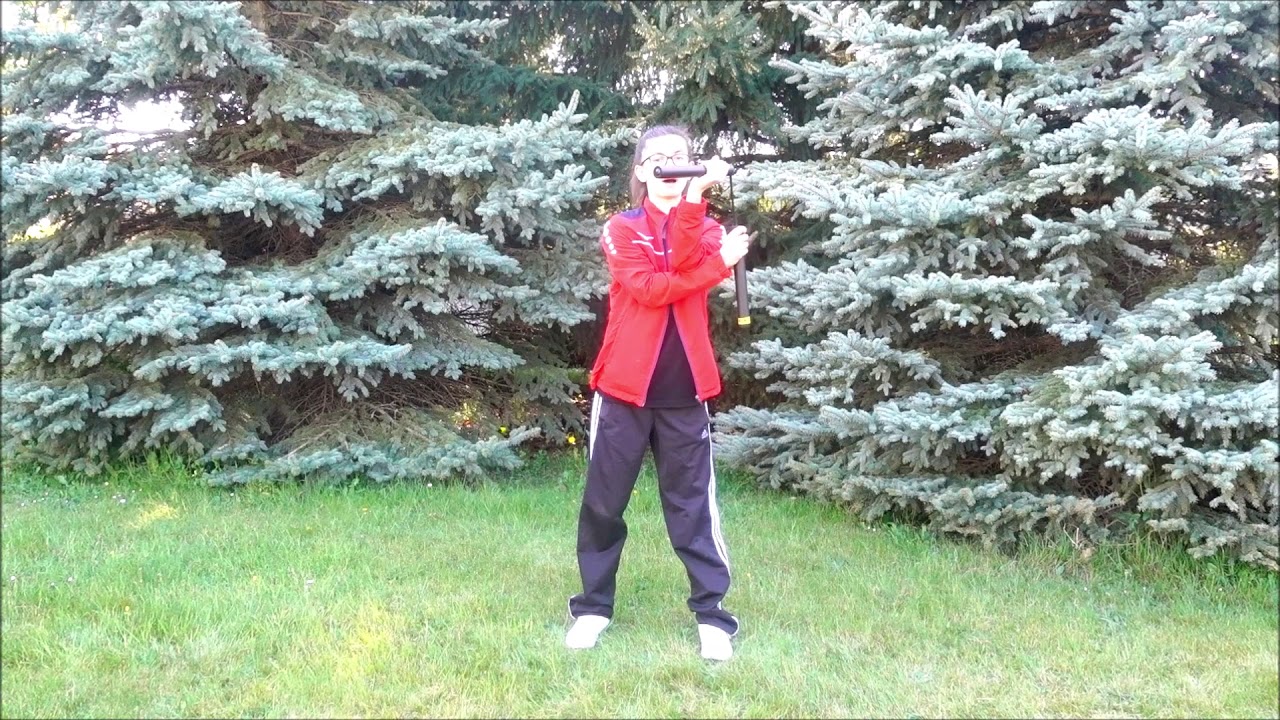 Nunchaku #2: Taolu partie 1