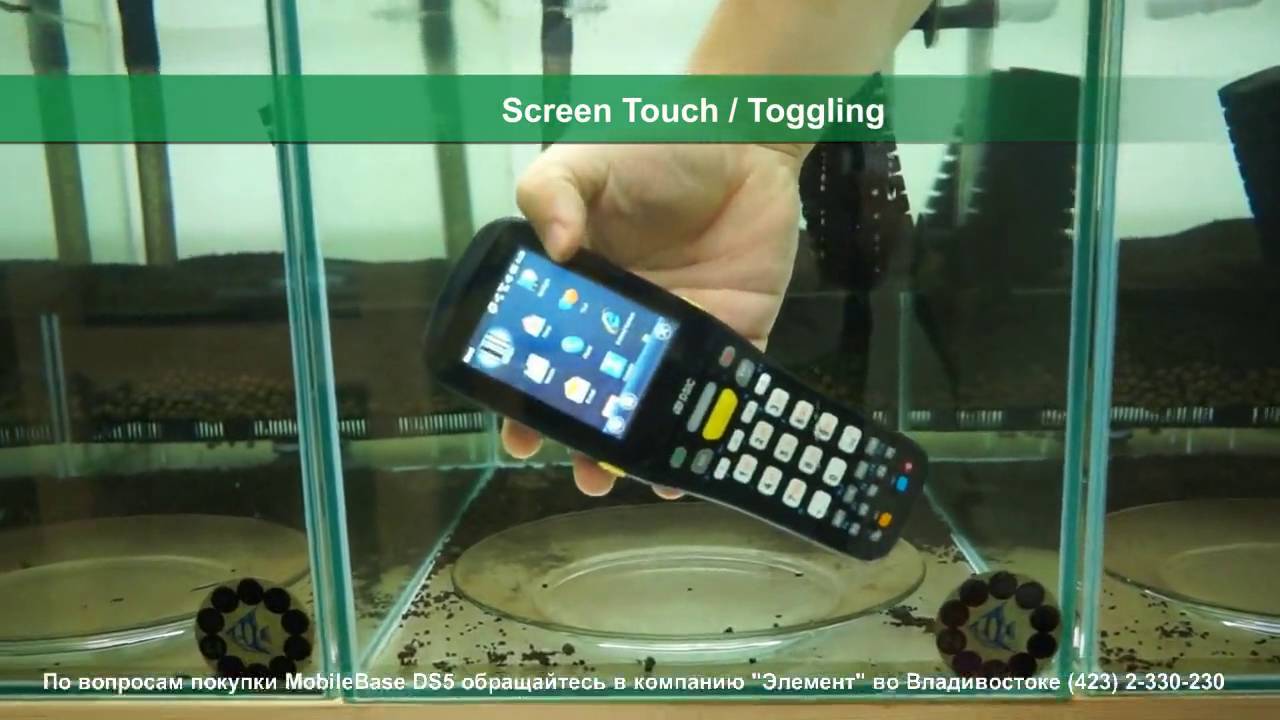 Универсальный терминал сбора данных MobileBase DS5