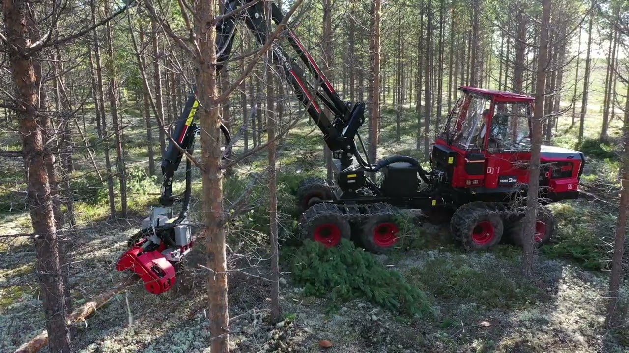 TERRI 3HW med Log Max 2000T - Flerträdshantering i klen gallring
