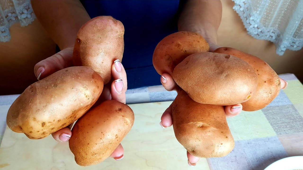 Что Приготовить ВКУСНОГО из Картофеля Без особых УСИЛИЙ