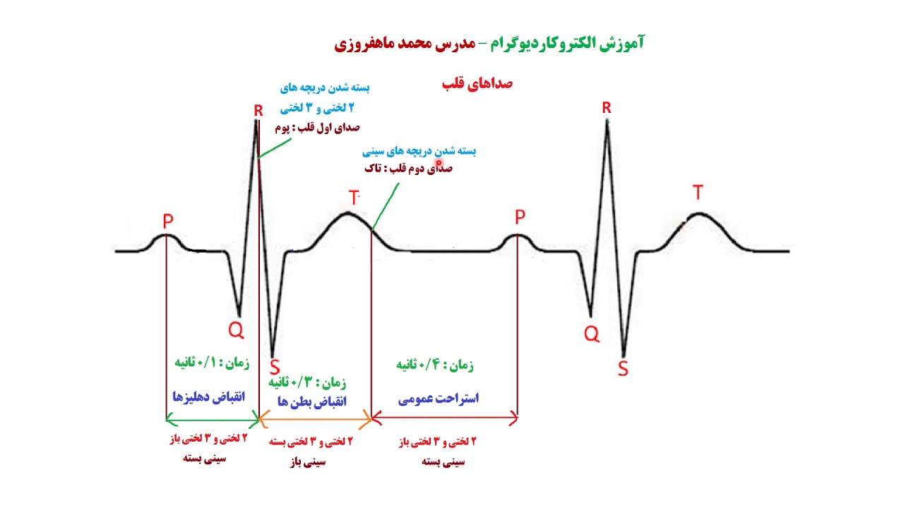 آموزش الکتروکاردیوگرام Electrocardiogram