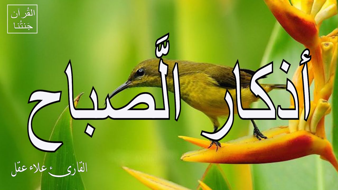 أذكار الصباح | راحة نفسية لا توصف بصوت القارئ علاء عقل | Morning Athkar - Dzkir Pagi