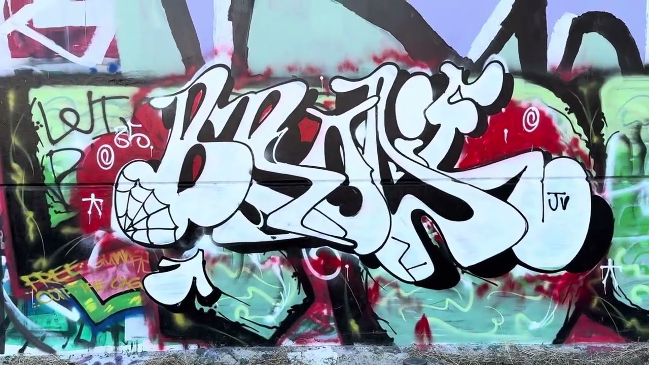 WINNETKA-Mason pt1 San Fernando Valley train track graff document #graff #graffitiart #graffiti 