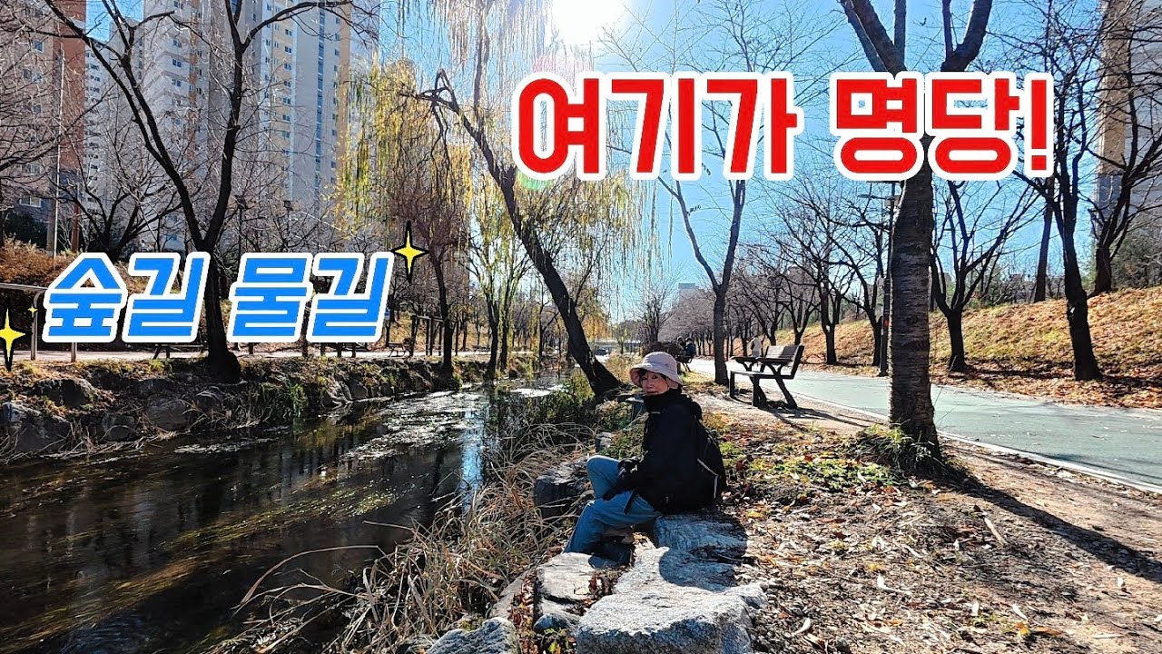 🌿서울둘레길 7~9코스 27.94km—몸보다 마음이 더먼저 도착하는 길, 서울 숲길 물길 여기가 명당이네!
