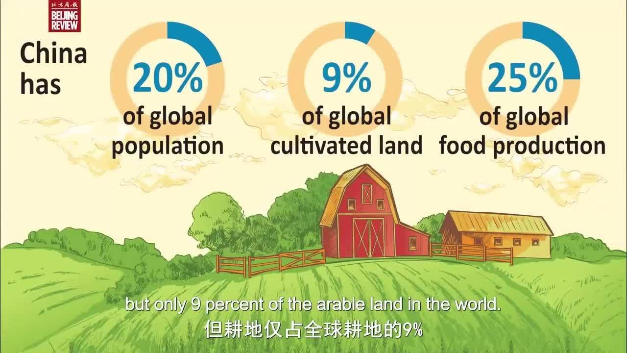 China's Hybrid Rice Production