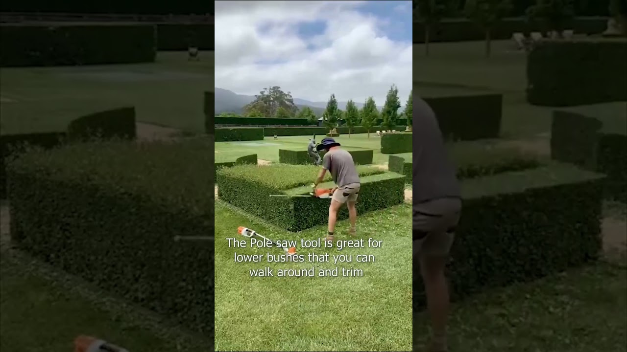 Relaxing landscaping hedge trimming Ep 2 #compilation #satisfying #hedgetrimming #relaxing #2023