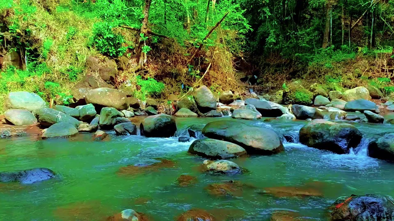 Natural Hidden Forest River Ambience for Healing Rest, Deep Sleep, and Medicine Therapy