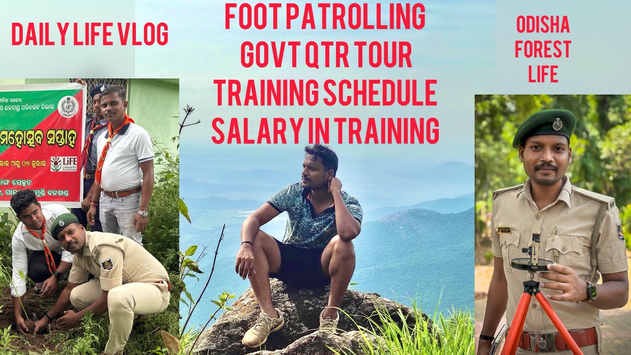 Daily life vlog 3 #forestdepartment #osssc #odishaforest 
