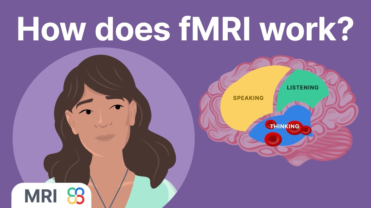 How does fMRI reveal which parts of the brain are active? - MRI physics explained