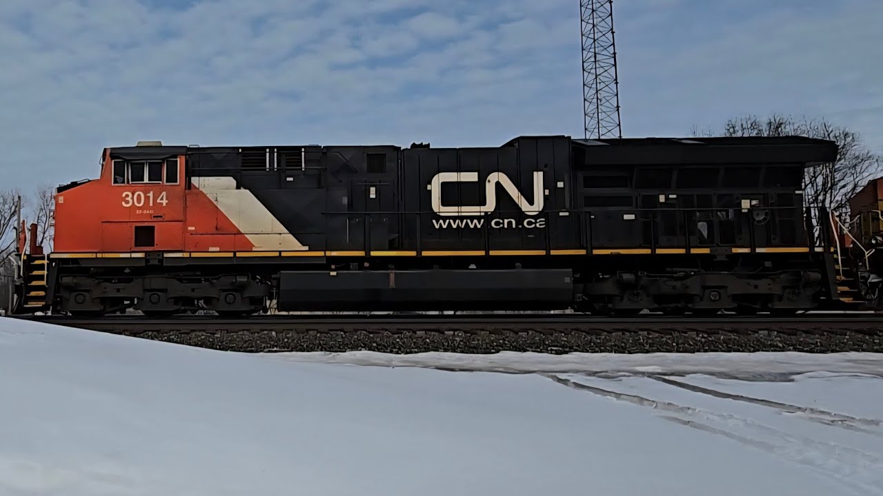 A Ton of Action on the Norfolk Southern Chicago Line! Heritage Unit! Frankenstein BNSF! Horn Salute!