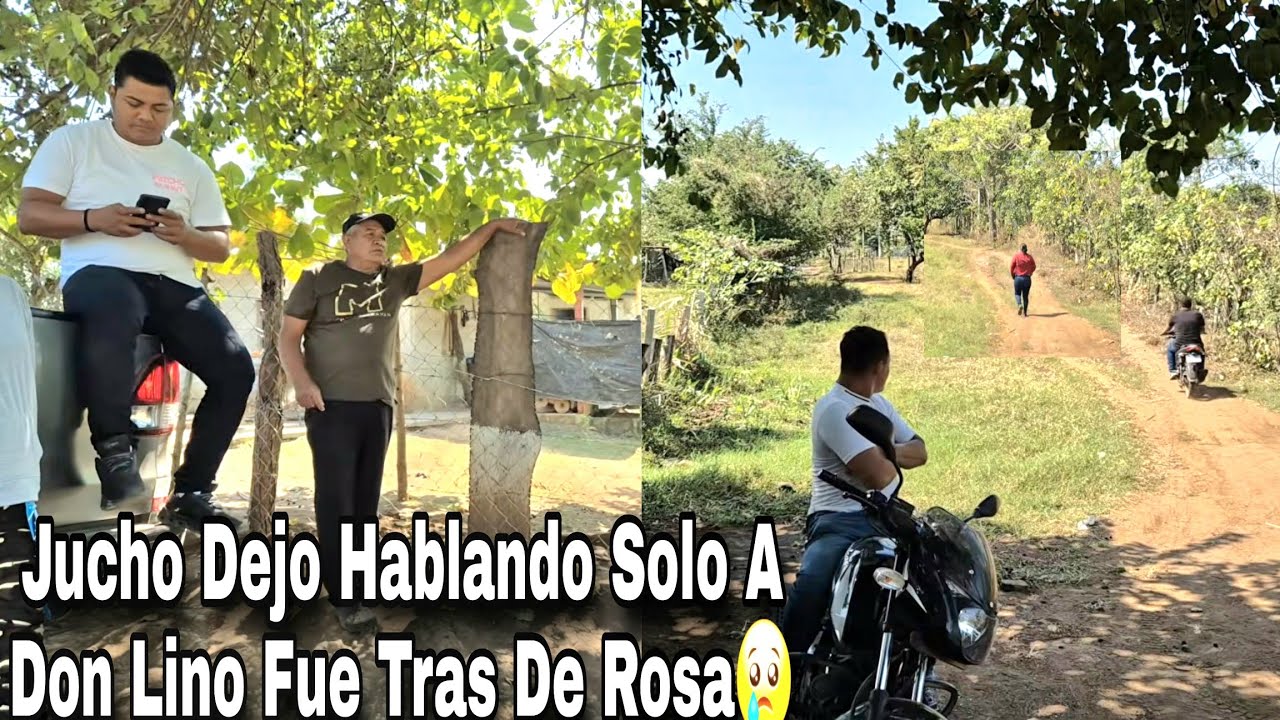 Se Nota Que Bien Bruj3ado Tiene Rosa A Jucho Se Fue Tras De Ella Y Dejo Asu Papá Hablando solo😨