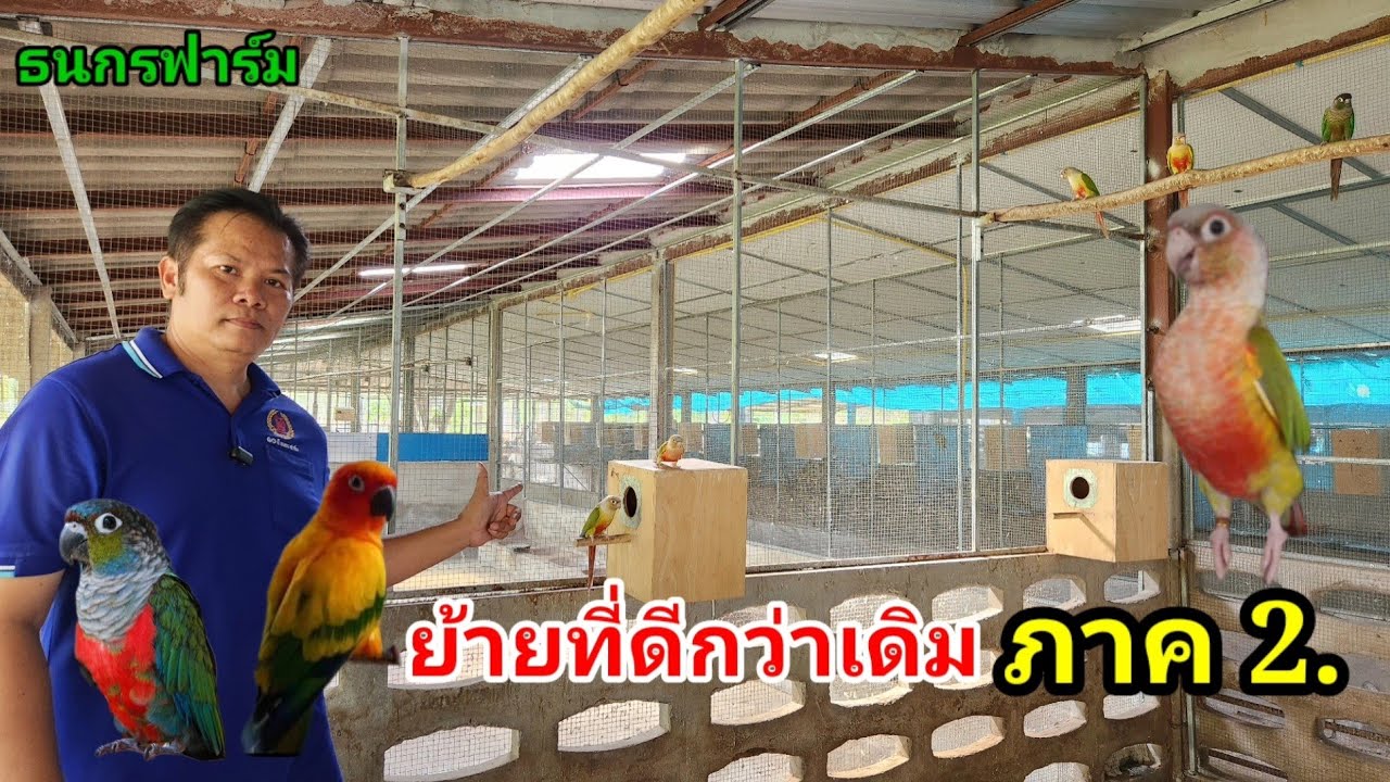 กรีนชีคคอนัวร์ ย้ายที่ดีกว่าเดิม ภาค2.