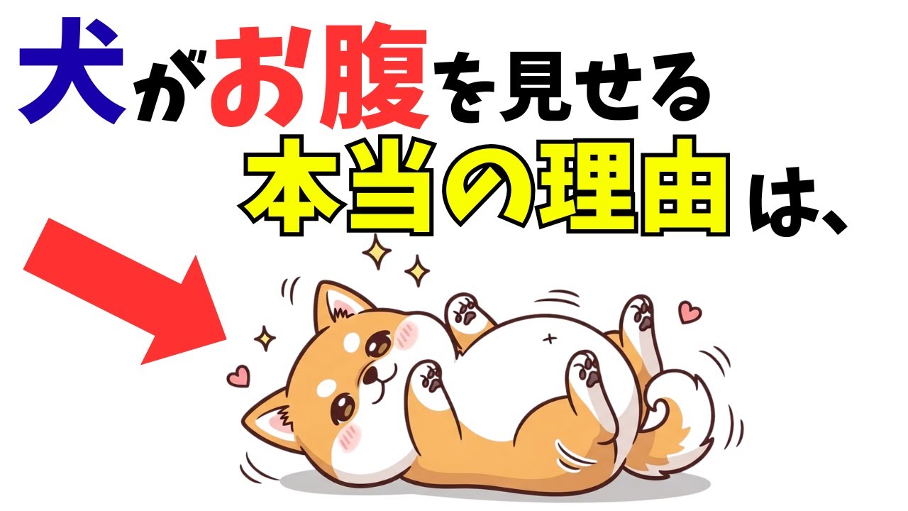 【必見！】わんこの行動を人間語に翻訳したら可愛すぎた件10選