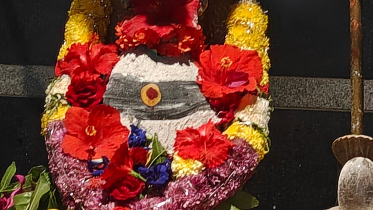 శ్రీ మహా కామేశ్వర స్వామి వారి సోమవార విశేష, 26-01-2026