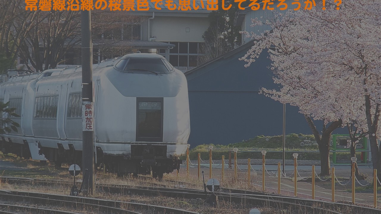 651系Ｋ202編成「5年間出発出来ず」常磐線原ノ町駅20160311【リメイク版】