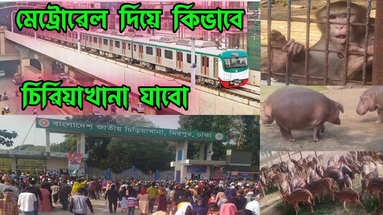 মেট্রোরেল দিয়ে কিভাবে চিড়িয়াখানা যাবেন। চিড়িয়াখানা আজকে আপনাদেরকে ঘুরিয়ে দেখাবো