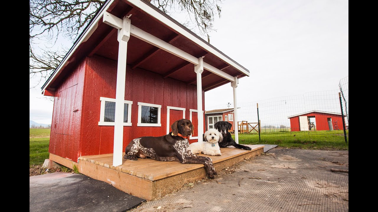 Building the Dog Mahal Timelapse