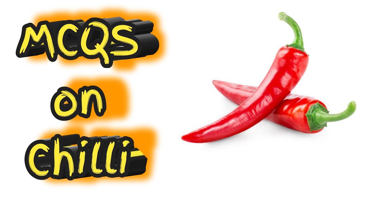 MCQS on Chilli II MCQS on solanaceous crops II Vegetable MCQ