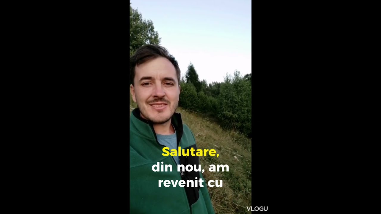 Recenzie tabla cutata - septembrie 2023 Vindem-ieftin.ro